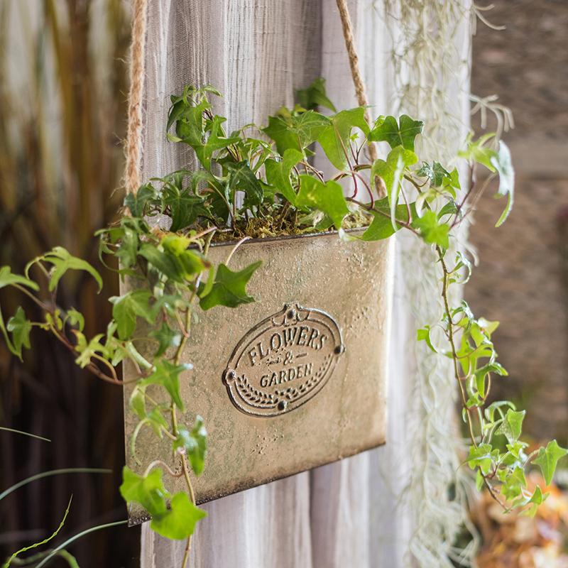 Charming Flat Metal Planter - Ed's Plant Shop