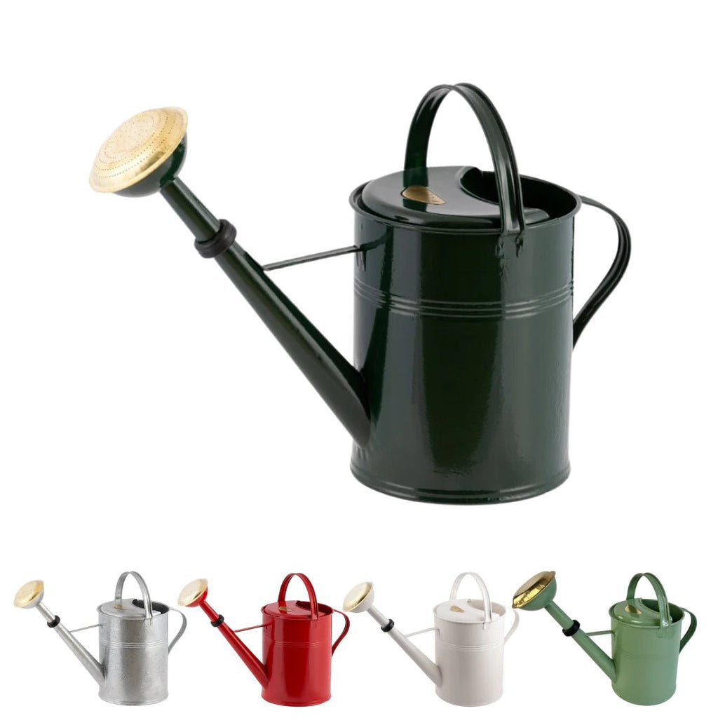 Galvanized Metal Watering Can 5 Liter with Removeable Sprinkler Head - Ed's Plant Shop