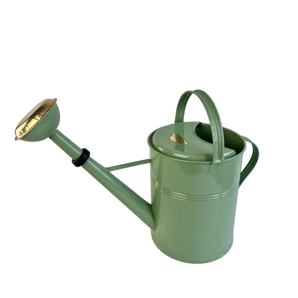 Galvanized Metal Watering Can 5 Liter with Removeable Sprinkler Head - Ed's Plant Shop