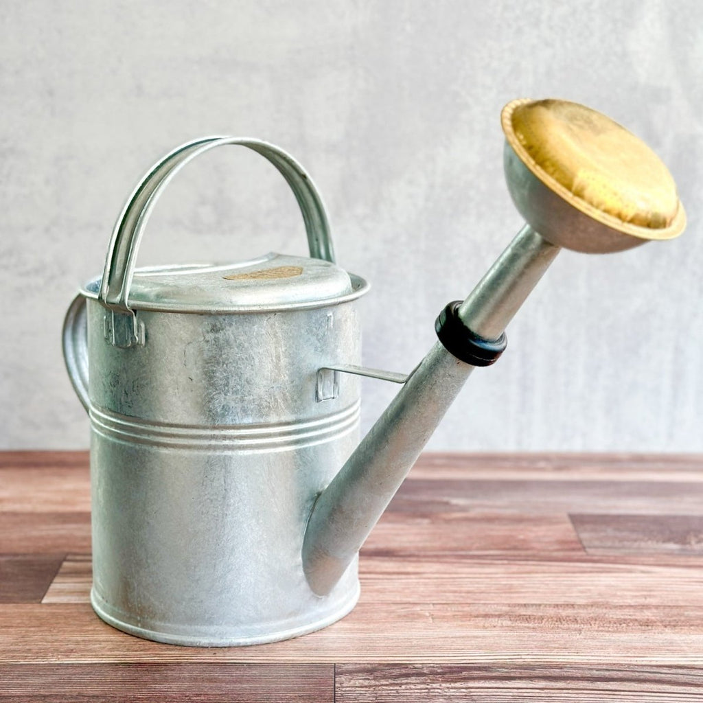 Galvanized Metal Watering Can 9 Liter with Removeable Sprinkler Head - Ed's Plant Shop