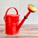 Galvanized Metal Watering Can 9 Liter with Removeable Sprinkler Head - Ed's Plant Shop