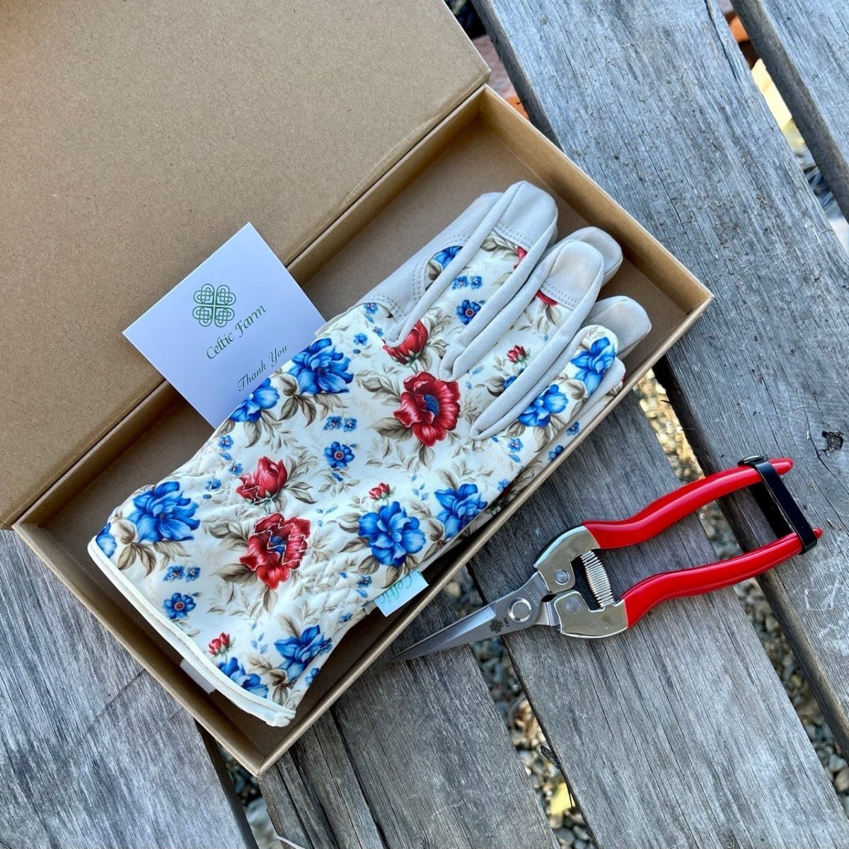 Garden Gift Box - Gloves and Needle Snips - Ed's Plant Shop