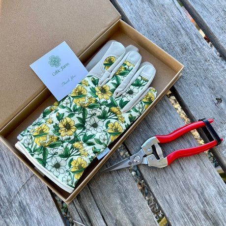 Garden Gift Box - Gloves and Needle Snips - Ed's Plant Shop