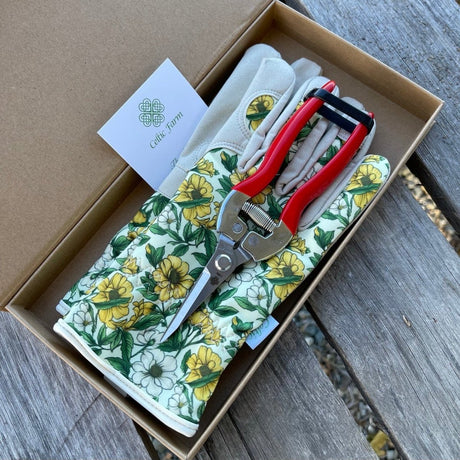 Garden Gift Box - Gloves and Needle Snips - Ed's Plant Shop