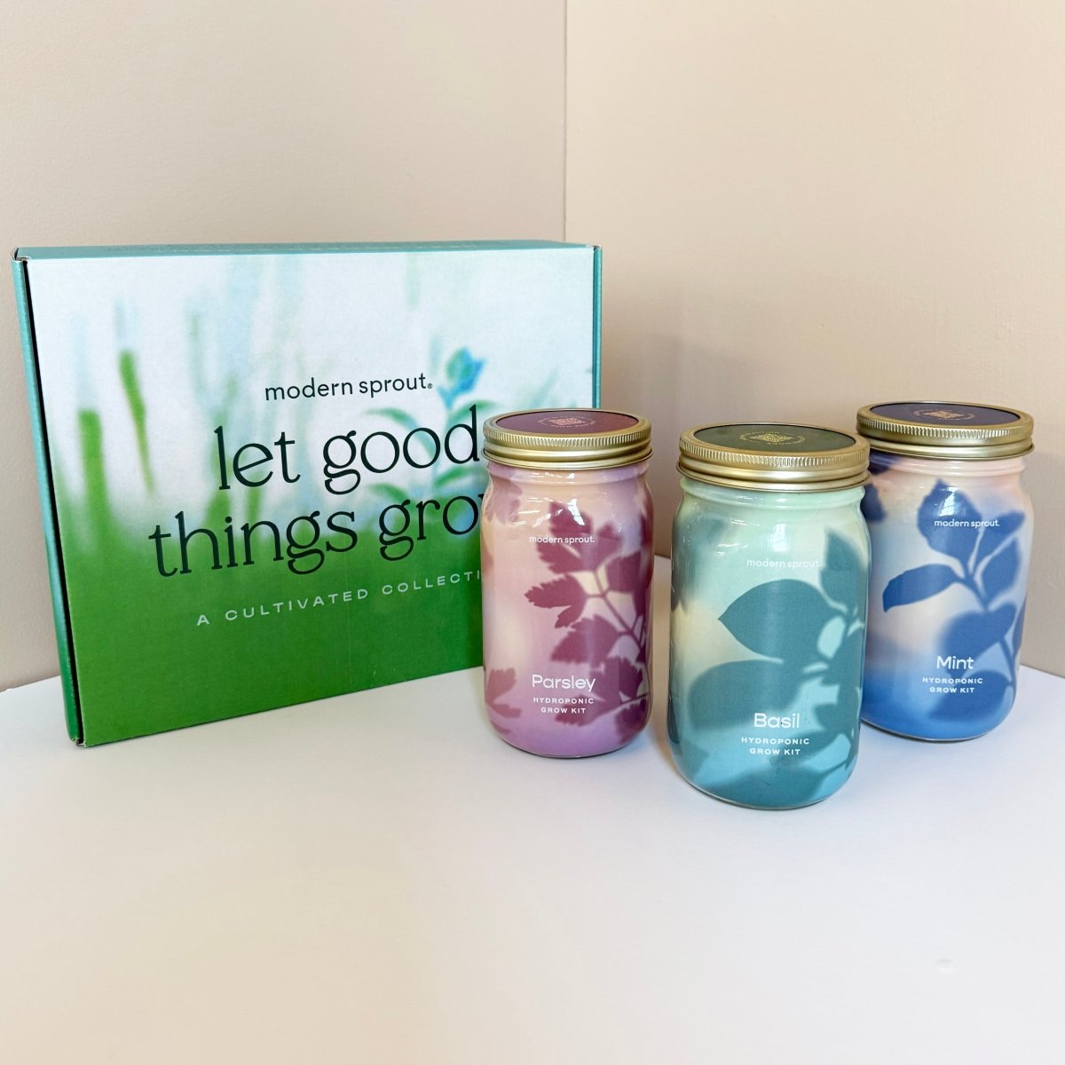 Garden Jars - Organic Herbs - Ed's Plant Shop