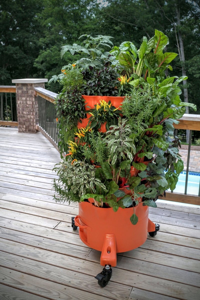 Orange vertical garden with plants on a wooden deck