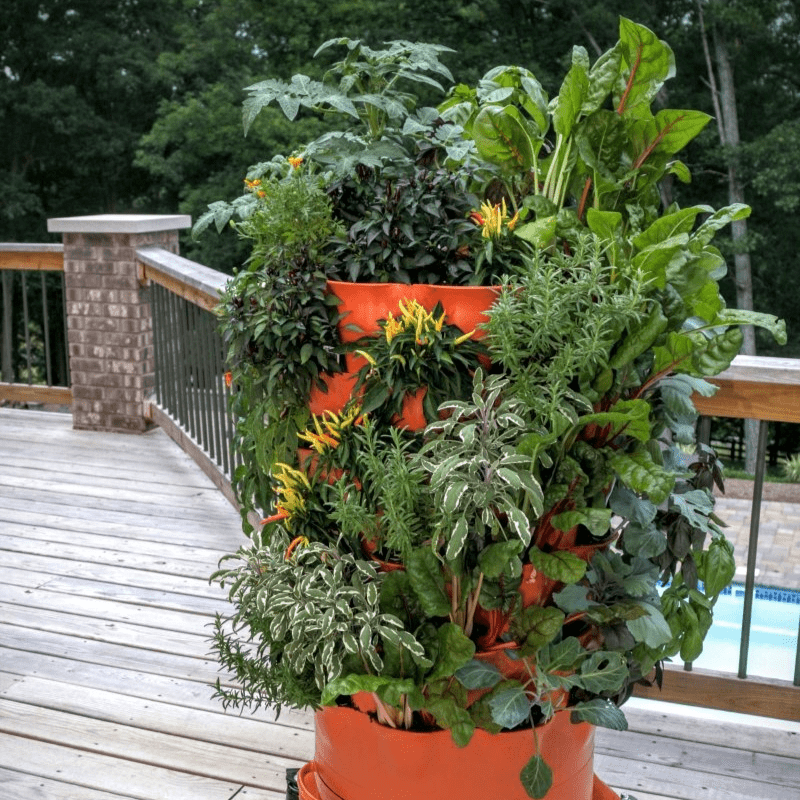 tower pots for climbing plants Garden Tower® 2 with Wheels