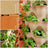 Collage of vertical garden with plants and color swatches labeled 'Warm Sandstone' and 'Terracotta'.