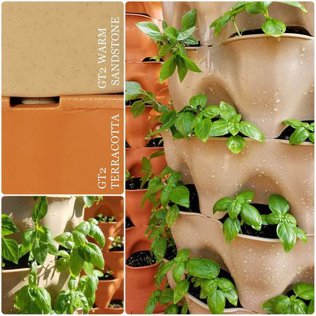 Collage of vertical garden with plants and color swatches labeled 'Warm Sandstone' and 'Terracotta'.