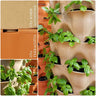 Collage of vertical garden with plants and color swatches labeled 'Warm Sandstone' and 'Terracotta'.