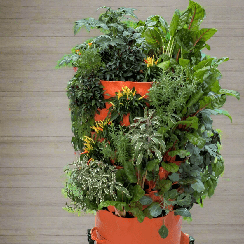Garden Tower 2 - Move and Grow Bundle - Ed's Plant Shop