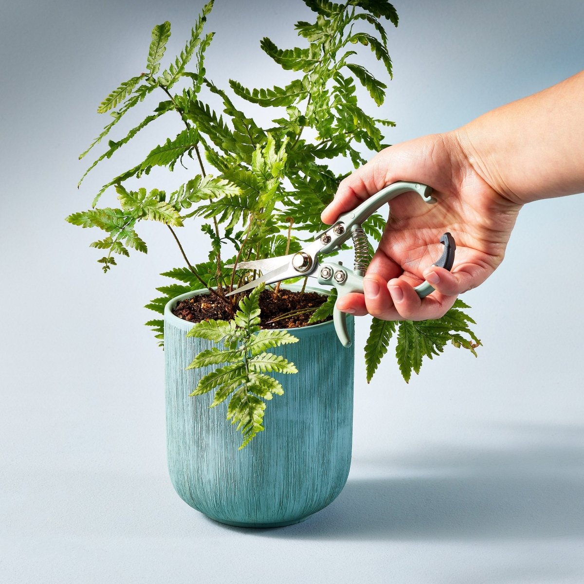 Gardening Shears & Pruners by Modern Sprout - Ed's Plant Shop