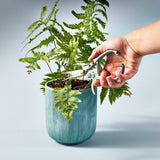 Gardening Shears & Pruners by Modern Sprout - Ed's Plant Shop