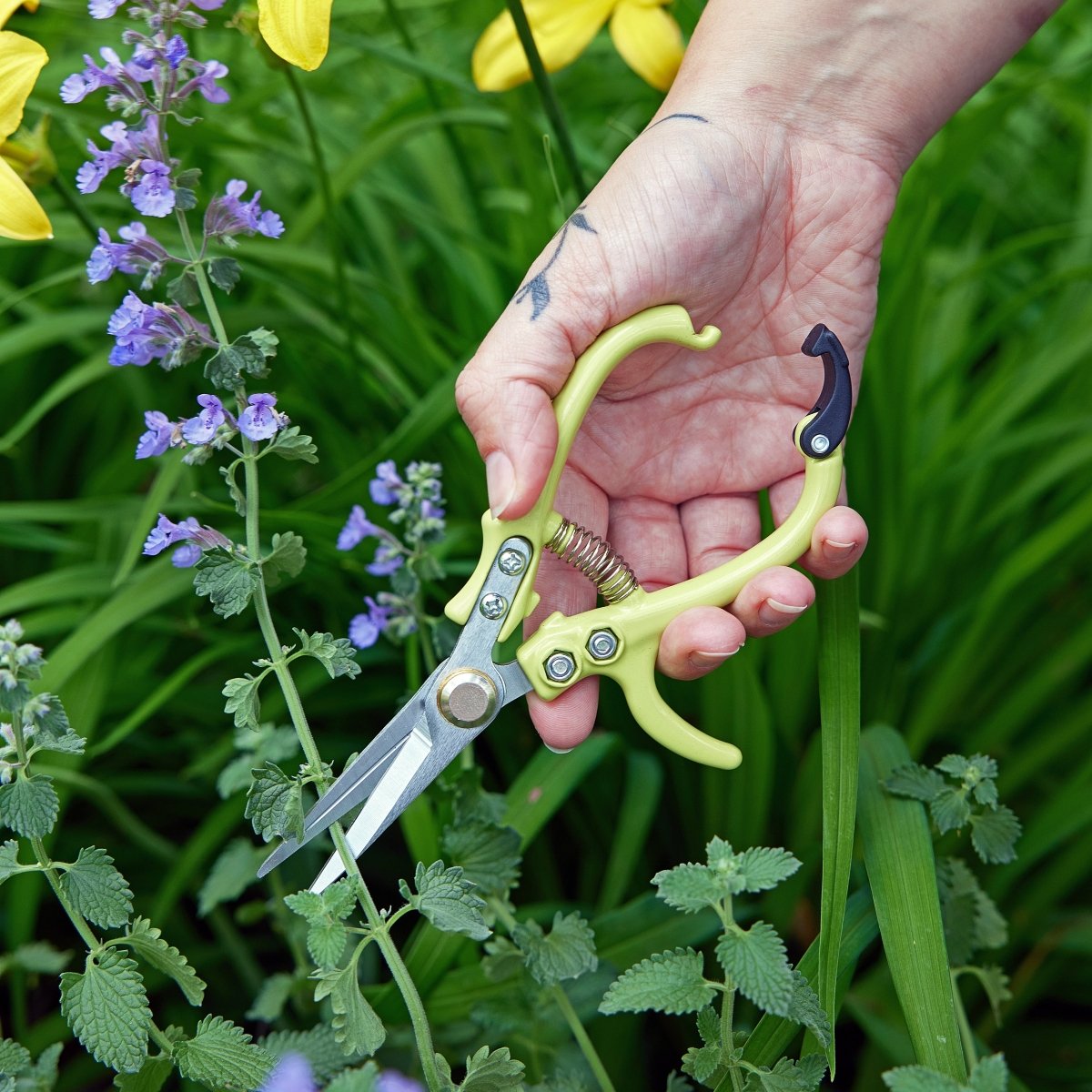 Gardening Shears & Pruners by Modern Sprout - Ed's Plant Shop
