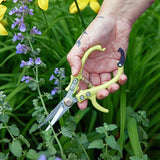 Gardening Shears & Pruners by Modern Sprout - Ed's Plant Shop