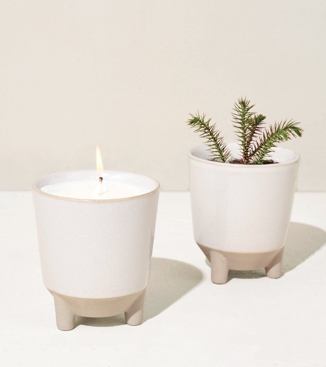 Modern Sprout Glow & Grow Candle-to-Planter Kit - Thumbnail 5