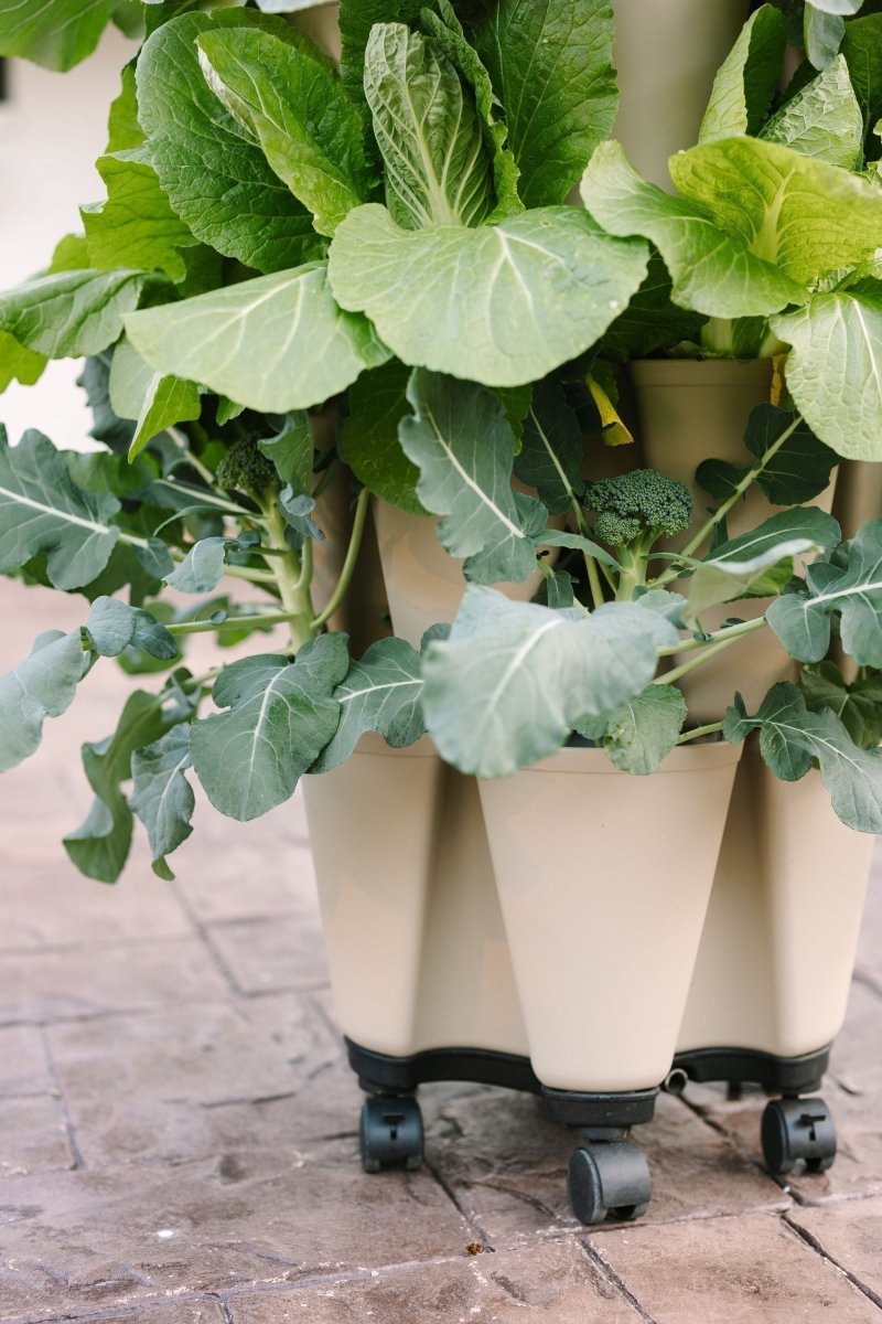 GreenStalk Garden Mover - Ed's Plant Shop