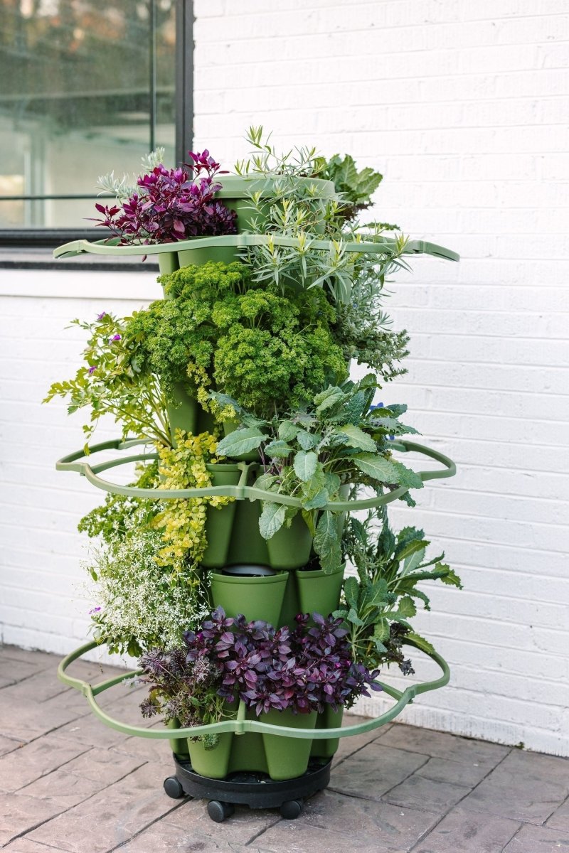 GreenStalk Garden Plant Support (Set of 3) - Ed's Plant Shop