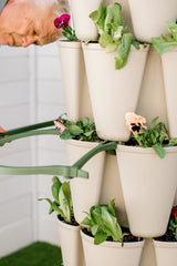 GreenStalk Garden Plant Support (Set of 3) - Ed's Plant Shop