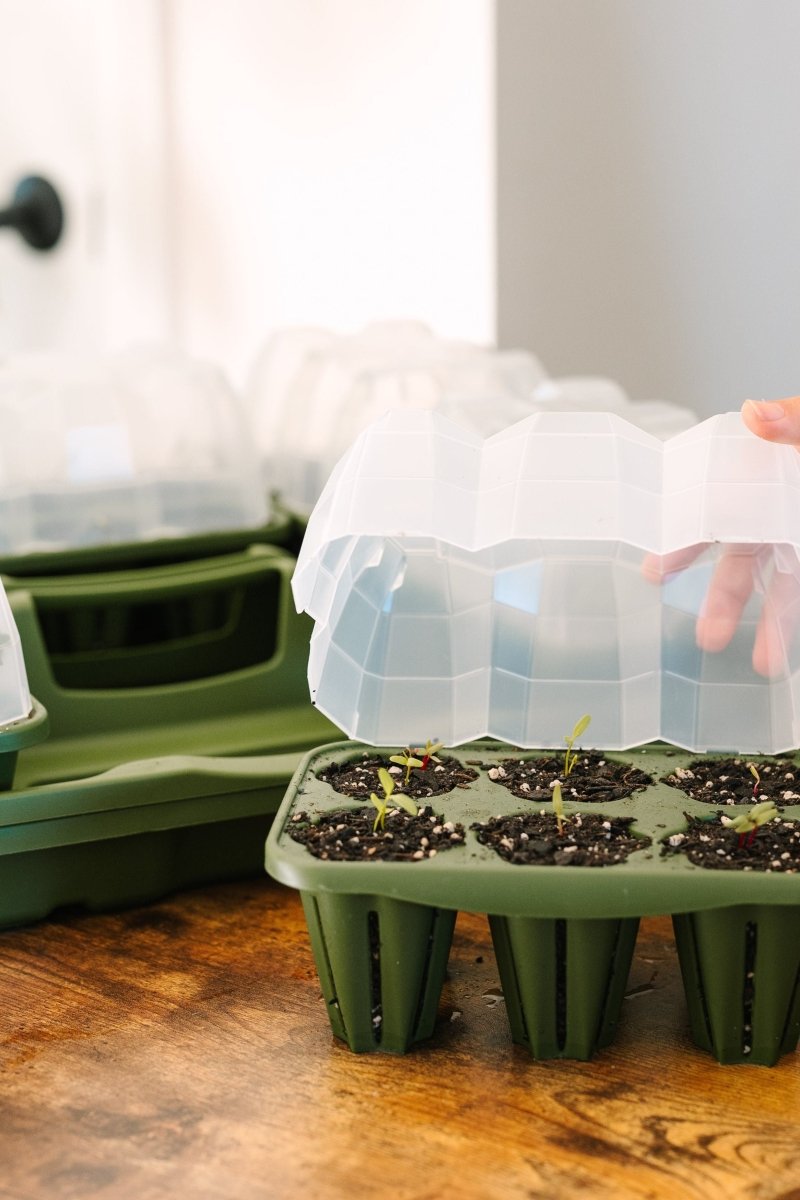 GreenStalk Garden Seed Starter Kit with Domes - Ed's Plant Shop