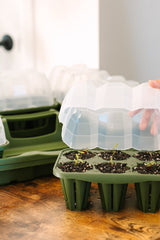 GreenStalk Garden Seed Starter Kit with Domes - Ed's Plant Shop