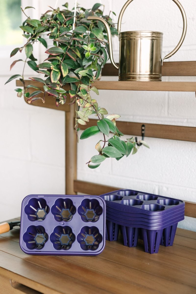 GreenStalk Garden Seed Starter Kit with Domes - Ed's Plant Shop