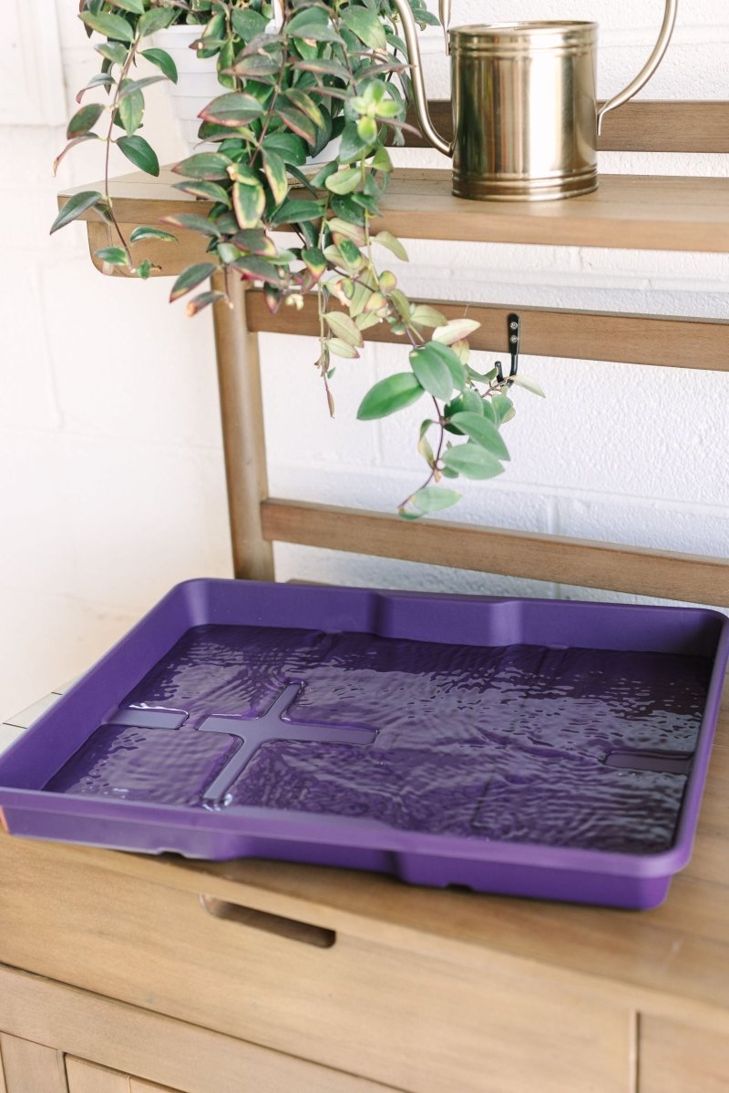 GreenStalk Garden Seed Starter Kit with Domes - Ed's Plant Shop