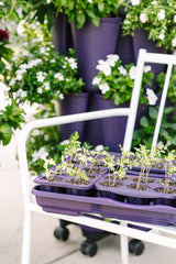 GreenStalk Garden Seed Starter Kit with Domes - Ed's Plant Shop