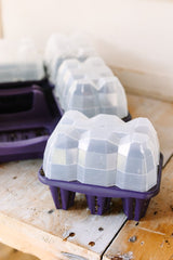 GreenStalk Garden Seed Starter Kit with Domes - Ed's Plant Shop