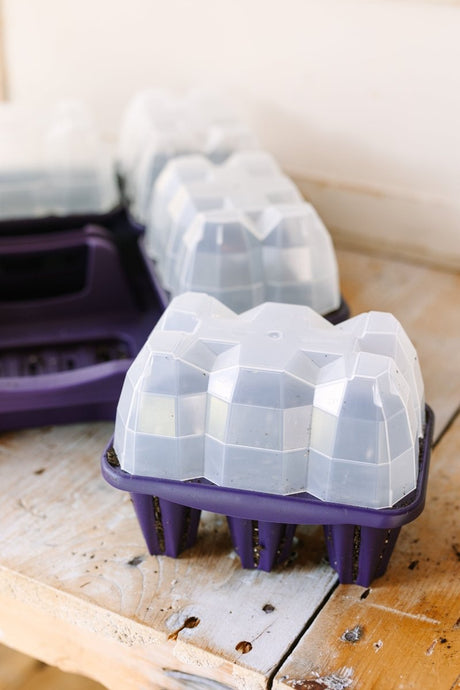 GreenStalk Garden Seed Starter Kit with Domes - Ed's Plant Shop