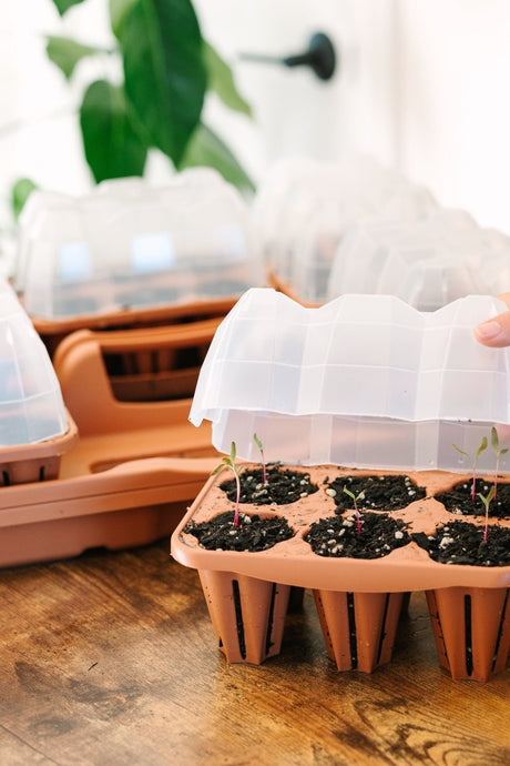 GreenStalk Garden Seed Starter Kit with Domes - Ed's Plant Shop