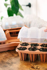 GreenStalk Garden Seed Starter Kit with Domes - Ed's Plant Shop