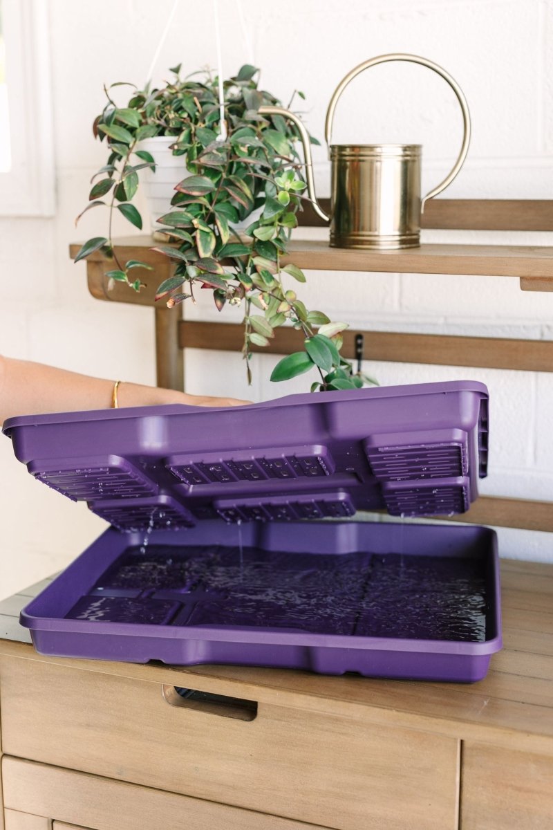 GreenStalk Garden Seed Starter Kit with Domes - Ed's Plant Shop