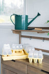 GreenStalk Garden Seed Starter Kit with Domes - Ed's Plant Shop