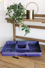 GreenStalk Garden Seed Starter Kit with Domes - Ed's Plant Shop