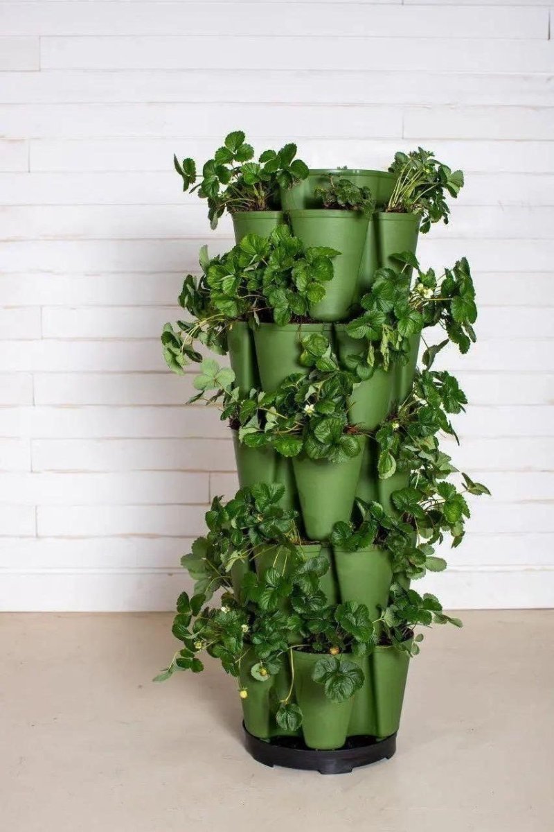 GreenStalk Garden Ultimate Spinner Base Only - Ed's Plant Shop