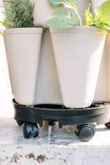 GreenStalk Garden Ultimate Spinner With Wheel Kit - Ed's Plant Shop