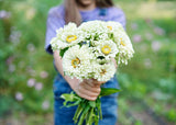 Person holding a bouquet of white flowers with green leaves in a garden setting