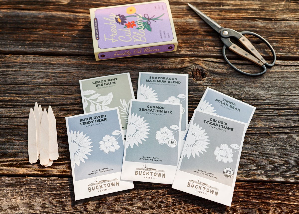 Seed packets on a wooden surface with a pair of scissors and wooden sticks.