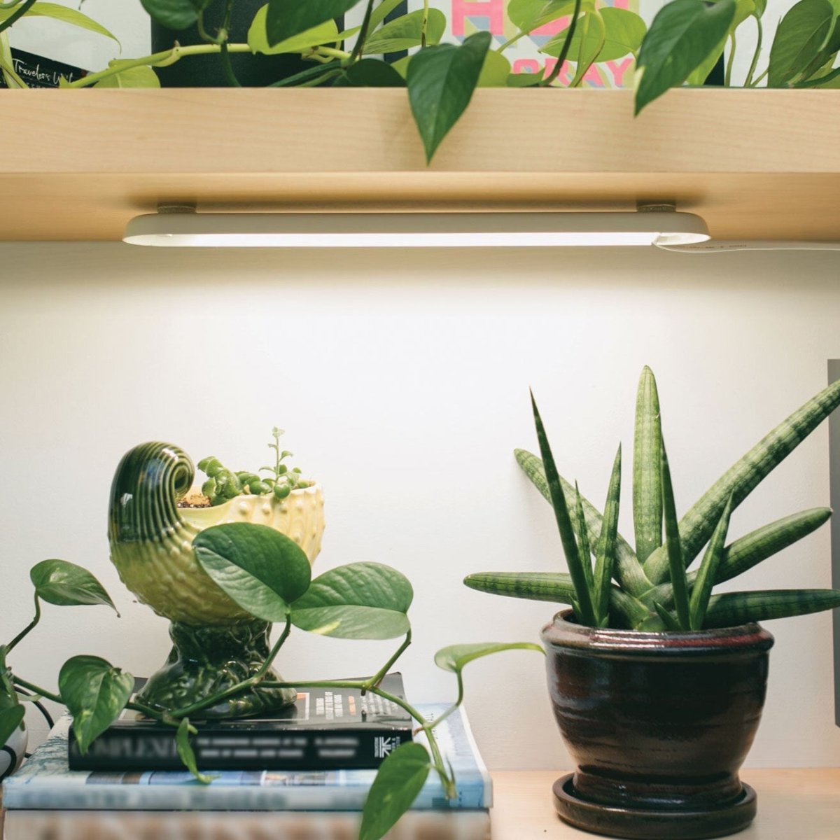 online indoor plant shop Modern Sprout Smart Growbar