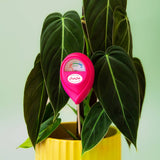 Jungle Club Soil Moisture Meter | Accurate, Battery-Free Plant Care