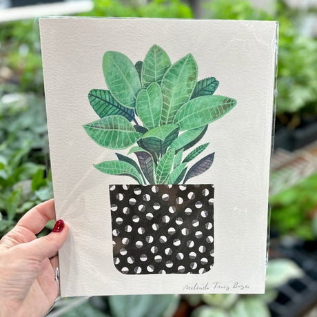 Half - Moon Houseplant Art Print - Ed's Plant Shop