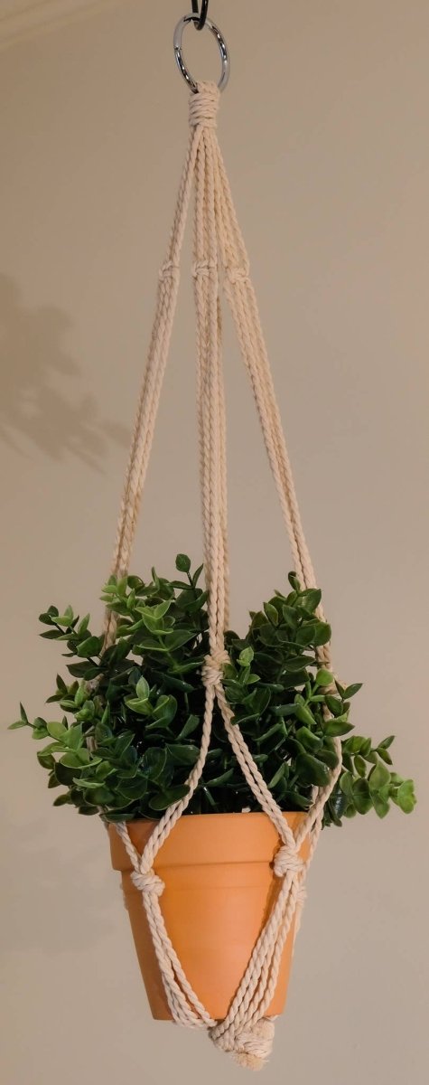 Handmade Macrame Cotton Plant Hanger – 24" Natural Rope - Ed's Plant Shop