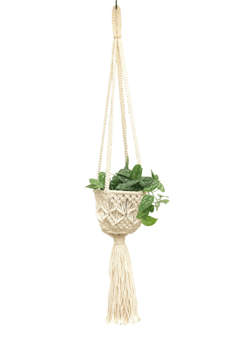 Handmade macrame cotton plant hanger with green trailing plant in a 6-inch pot, hanging against a black background.