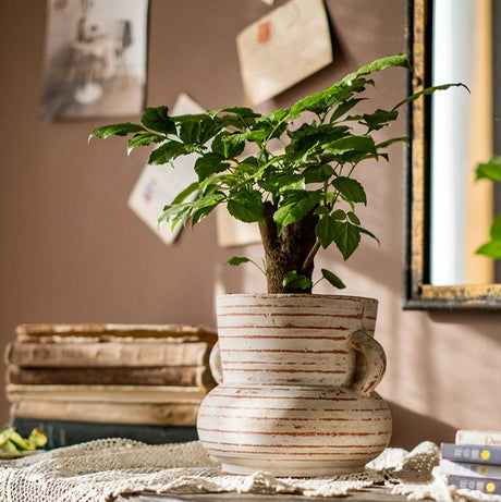 Handmade Terracotta Planter Vase with Handles - Ed's Plant Shop