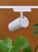 Hardwired Highland™ Track Light System - Ed's Plant Shop