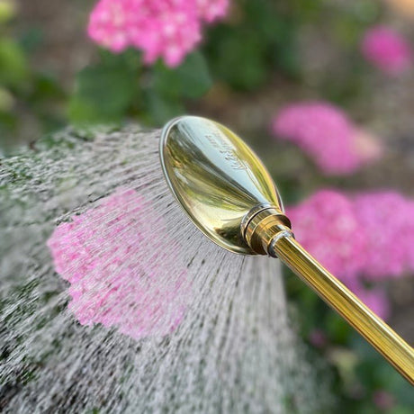 Haws Brass Water Spray Lance - Ed's Plant Shop