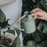 Haws Fazeley Flow Classic Watering Can - Small Indoor Garden Essentials - Ed's Plant Shop