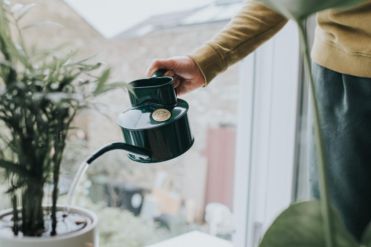 Haws Fazeley Flow Classic Watering Can - Small Indoor Garden Essentials - Ed's Plant Shop