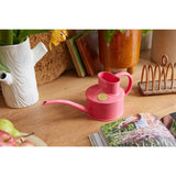 Haws Fazeley Flow Classic Watering Can - Small Indoor Garden Essentials - Ed's Plant Shop